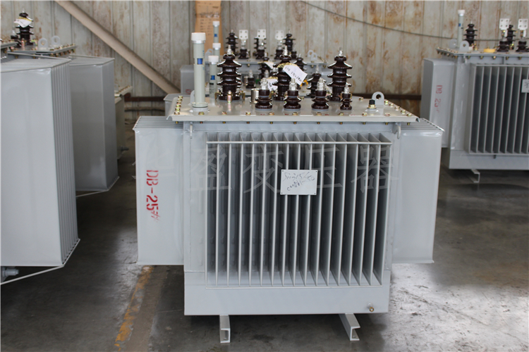 新疆S20-800kVA/10kV/0.4kV变压器